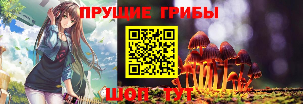 Ртищево  Псилоцибиновые грибы Magic Shrooms  Вход с VPN 