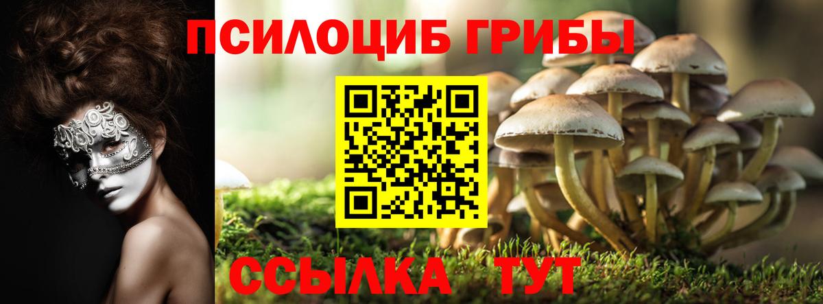 Галлюциногенные грибы GOLDEN TEACHER Ртищево